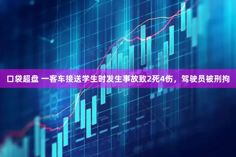 口袋超盘 一客车接送学生时发生事故致2死4伤，驾驶员被刑拘