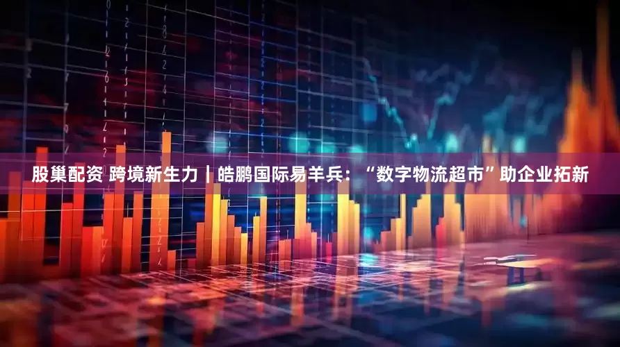 股巢配资 跨境新生力｜皓鹏国际易羊兵：“数字物流超市”助企业拓新