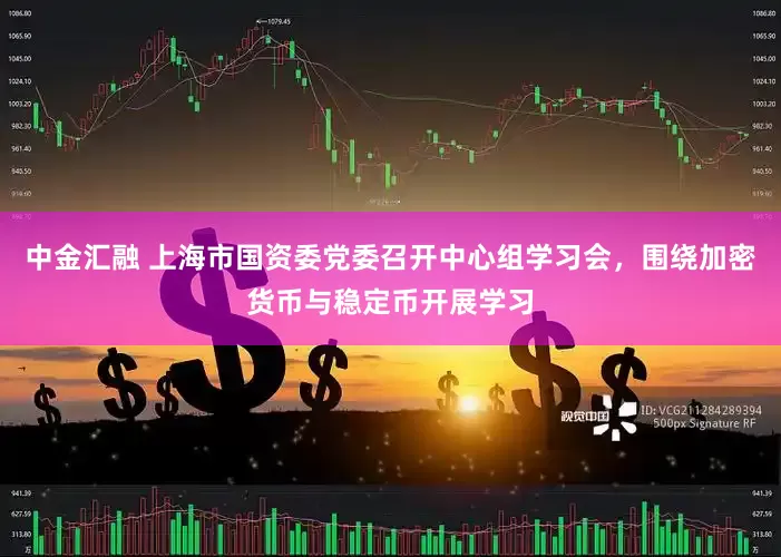 中金汇融 上海市国资委党委召开中心组学习会，围绕加密货币与稳定币开展学习