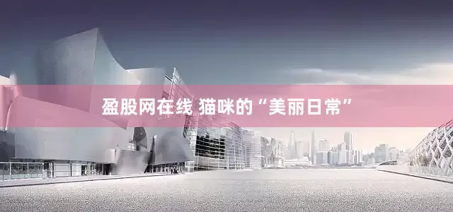 盈股网在线 猫咪的“美丽日常”