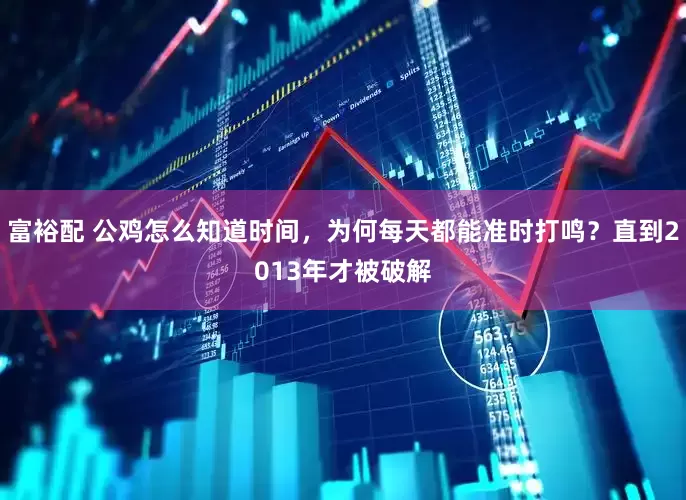 富裕配 公鸡怎么知道时间，为何每天都能准时打鸣？直到2013年才被破解