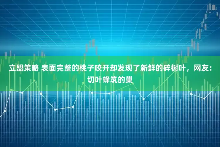 立盟策略 表面完整的桃子咬开却发现了新鲜的碎树叶，网友：切叶蜂筑的巢