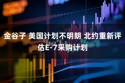 金谷子 美国计划不明朗 北约重新评估E-7采购计划