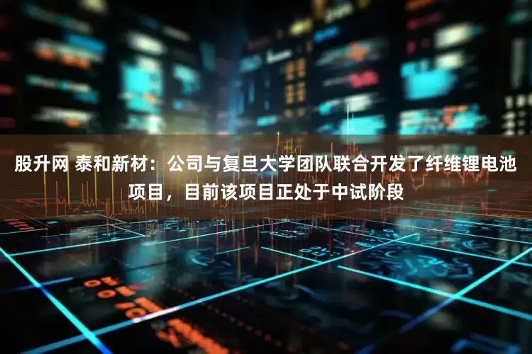 股升网 泰和新材：公司与复旦大学团队联合开发了纤维锂电池项目，目前该项目正处于中试阶段