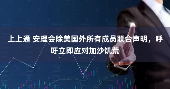 上上通 安理会除美国外所有成员联合声明，呼吁立即应对加沙饥荒