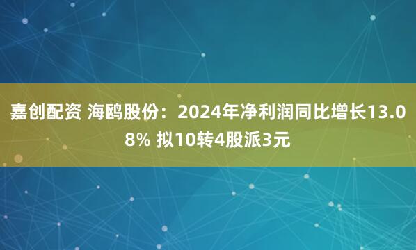 嘉创配资 海鸥股份：2024年净利润同比增长13.08% 拟10转4股派3元