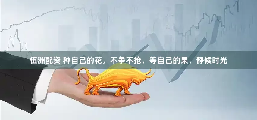 伍洲配资 种自己的花，不争不抢，等自己的果，静候时光