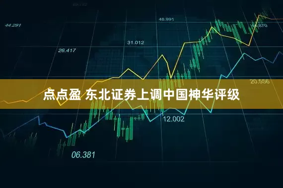 点点盈 东北证券上调中国神华评级