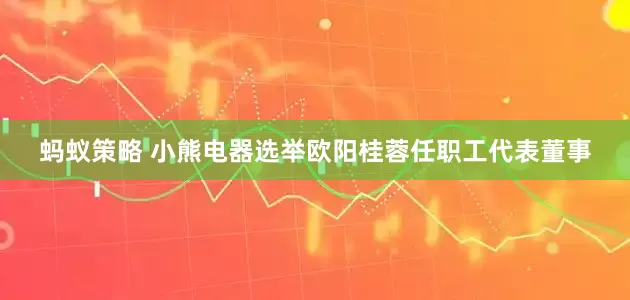 蚂蚁策略 小熊电器选举欧阳桂蓉任职工代表董事