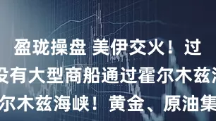 盈珑操盘 美伊交火！过去24小时没有大型商船通过霍尔木兹海峡！黄金、原油集体上涨