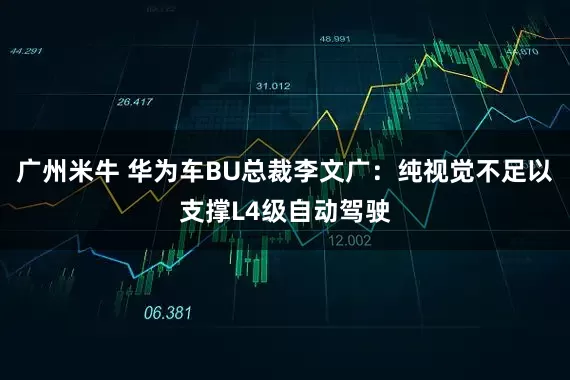 广州米牛 华为车BU总裁李文广：纯视觉不足以支撑L4级自动驾驶